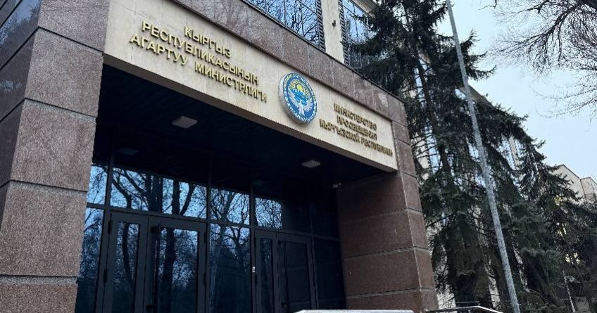 При повышении зарплаты педагогам в&nbsp;Кыргызстане ввели единый коэффициент
