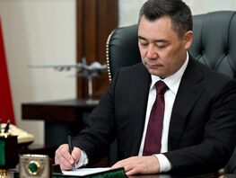 Президент выступил против дополнительных требований к&nbsp;накопителям энергии в&nbsp;ВИЭ
