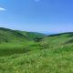 Фото Бакыта Шукуралиева. Изумрудные пейзажи Чуйской долины
