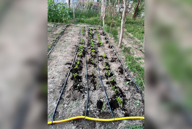 Эрмека Байбагышева