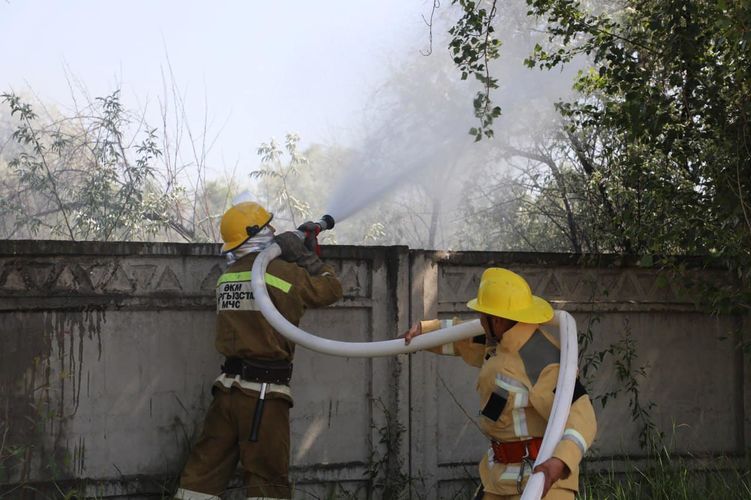 Фото пресс-службы МЧС. На кыргызско-казахской границе пожарные двух стран провели совместные учения