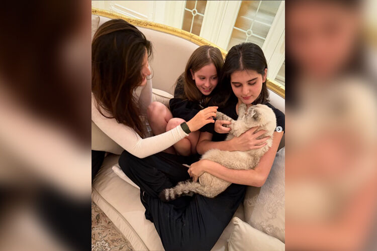 из социальных сетей