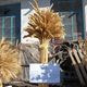 Фото ИА «24.kg». Сорт пшеницы «Жаным», клейковина 28 процентов. Разработка местных селекционеров совместно с казахскими коллегами