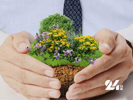 Остановите рейдерство! Открытое письмо ОАО &laquo;Мамыр&raquo; к&nbsp;президенту
