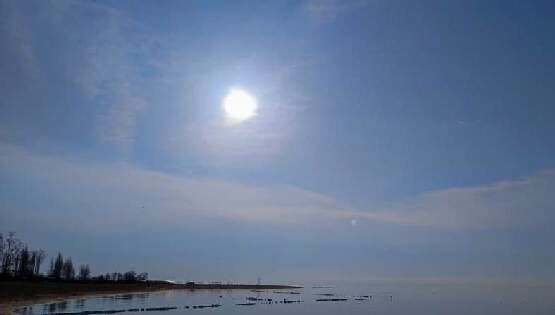 Утро на&nbsp;Иссык-Куле и&nbsp;цветение магнолии. Фото и&nbsp;видео читателей 24.kg
