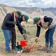 Фото Тогуз-Тороуской районной администрации. Только в Тогуз-Тороуском и Сузакском районах этой весной будет высажено более 211 тысяч деревьев
