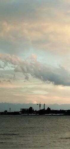 читателя 24.kg