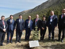 SCO environmental meeting participants plant trees in Ala-Archa Park