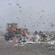 Фото 24.kg. Кружащие над головой птицы, копошащиеся в мусоре сортировщики, дым — сегодняшние реалии столичной свалки