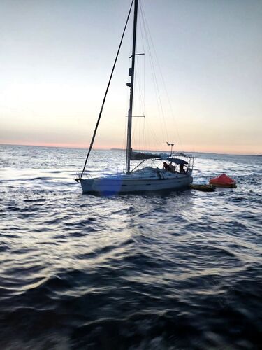 Косатки утопили в Гибралтарском проливе яхту с людьми на борту