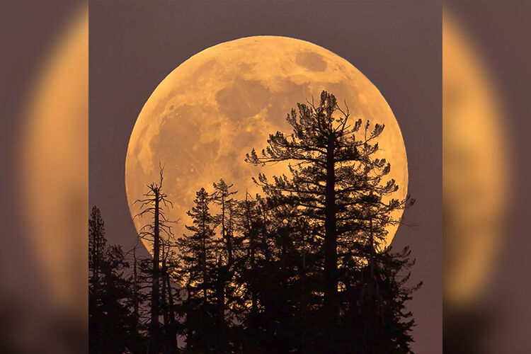 иллюстративное