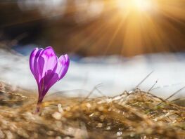 14-мартка карата аба ырайы
