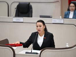 &laquo;Он&nbsp;не&nbsp;брал $5,5&nbsp;миллиона&raquo;. Депутат прокомментировала дело мужа
