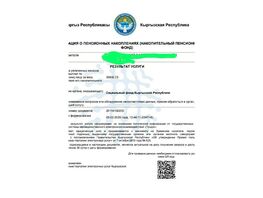 В&nbsp;приложении &laquo;Тундук&raquo; у&nbsp;части кыргызстанцев уменьшились пенсионные накопления
