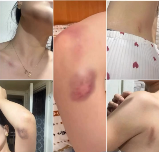 из социальных сетей