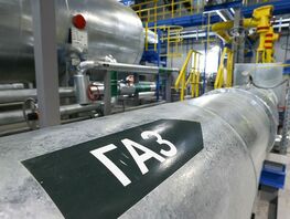 Китай начал втридорога перепродавать российский газ
