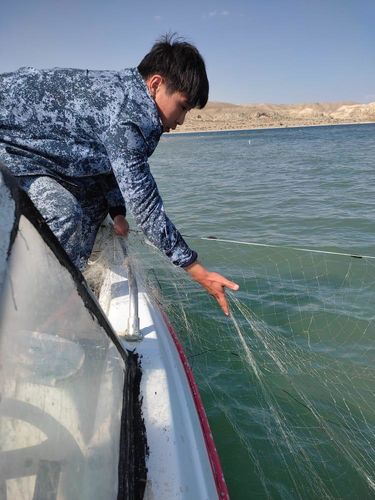 На Иссык-Куле инспекторы убрали браконьерские сети из залива близ села Кызыл-Туу