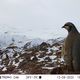 Фото пресс-службы Союза охраны природы Германии (NABU) в Кыргызстане