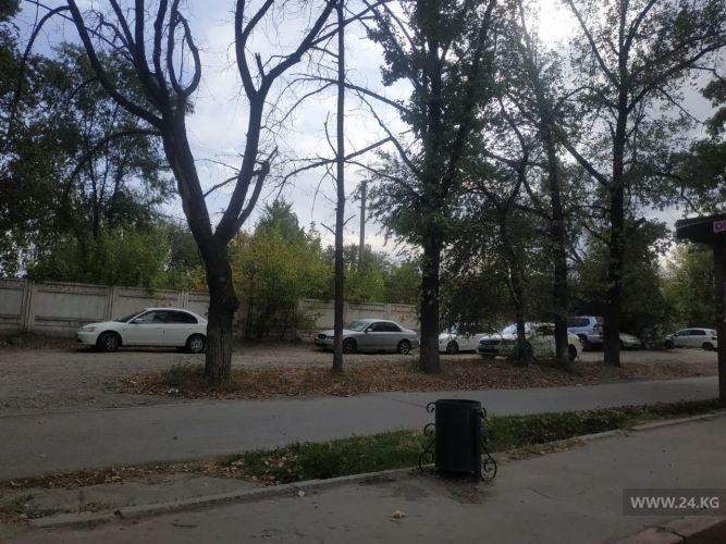 читателя 24.kg