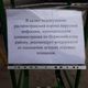 Фото пресс-службы мэрии Бишкека. Закрыты парки и скверы
