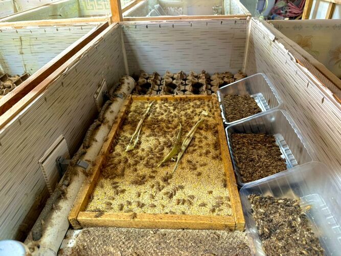 Минсельхоза