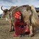 Фото Сабрины Николацци. Памирская кыргызка