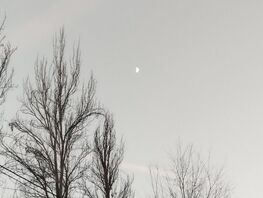 Мгновения жизни. Красота Кыргызстана в&nbsp;фото и&nbsp;видео читателей 24.kg
