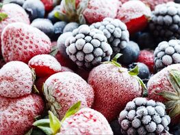 Кытайга тоңдурулган жемиштерди экспорттоого мүмкүнчүлүк ачылды
