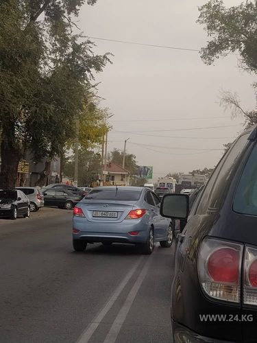 читателя 24.kg