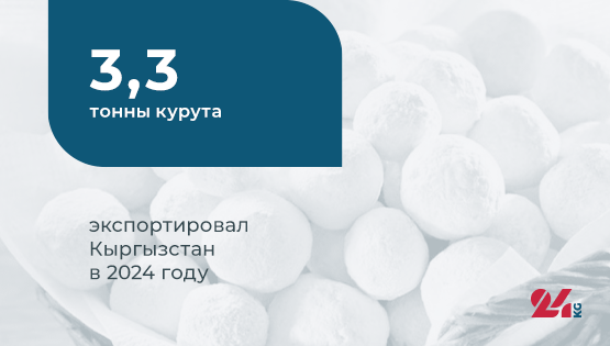 Цифра дня.&nbsp;3,3 тонны курута экспортировал Кыргызстан в&nbsp;2024 году
