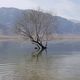 Фото Урмата Чырмашева. Водохранилище Торт-Куль, Баткенская область