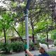 Фото пресс-службы мэрии. Светильники в стиле хай-тек появились на новой велодорожке в Бишкеке