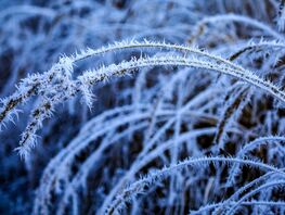 Какими в&nbsp;Бишкеке будут первые дни 2026&nbsp;года. Прогноз погоды на&nbsp;1-4 января
