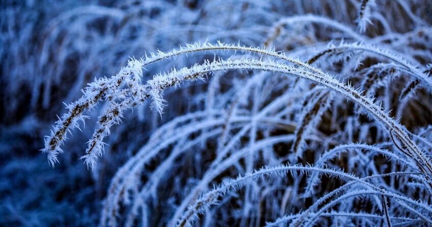 Какими в&nbsp;Бишкеке будут первые дни 2026&nbsp;года. Прогноз погоды на&nbsp;1-4 января
