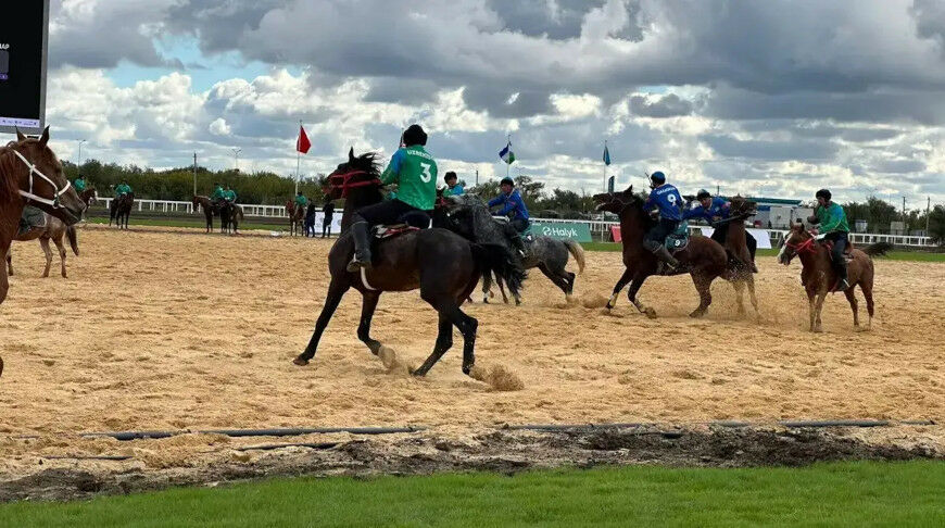 иллюстративное