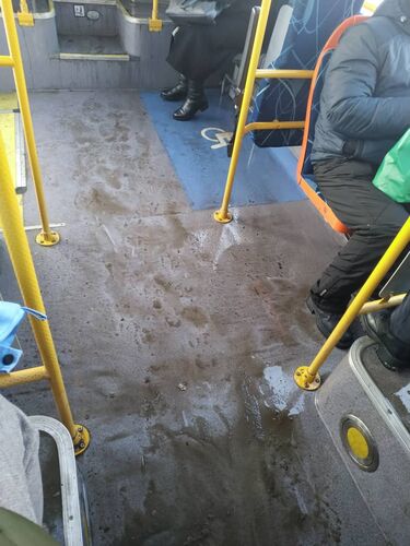 читателя 24.kg