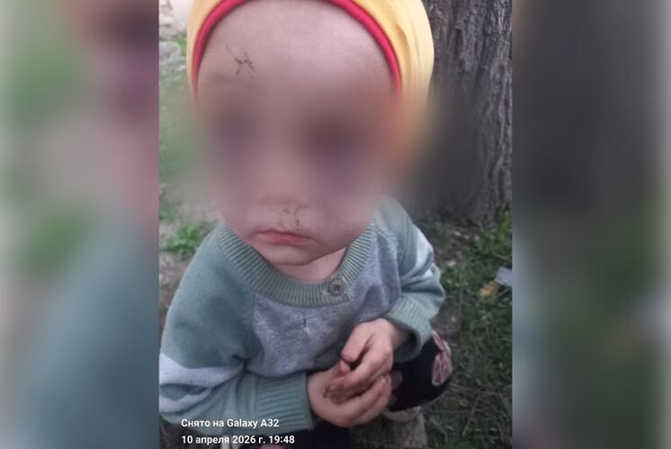 из соцсетей