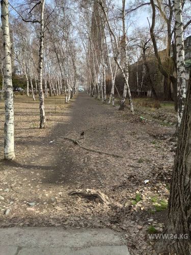 читателя 24.kg