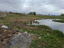 Жители Кочкора превращают природную зону в&nbsp;стихийную свалку
