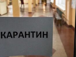 ОРВИ и&nbsp;грипп. Более 500 школ в&nbsp;Кыргызстане перевели на&nbsp;онлайн-обучение
