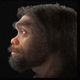 Фото из журнала OrtogOnLineMag. Эксперты воссоздали внешность древнего человека, жившего на территории современного Китая 150 тысяч лет назад