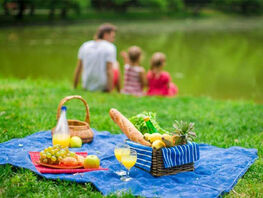 Как съездить на&nbsp;пикник и&nbsp;вернуться живым и&nbsp;невредимым домой. Советы спасателя
