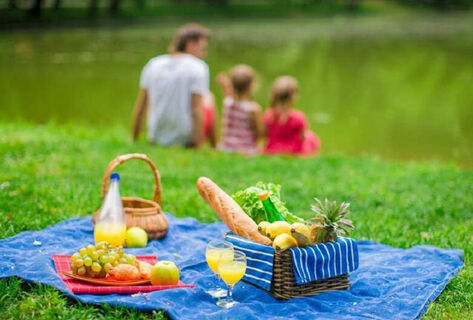 Как съездить на&nbsp;пикник и&nbsp;вернуться живым и&nbsp;невредимым домой. Советы спасателя
