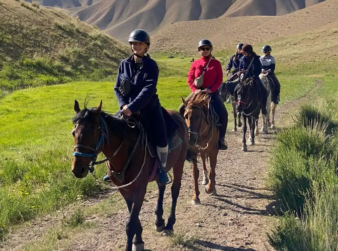 из интернета