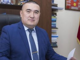Незаконные штрафы и&nbsp;переработки: эксперт о&nbsp;главных нарушениях прав в&nbsp;Кыргызстане
