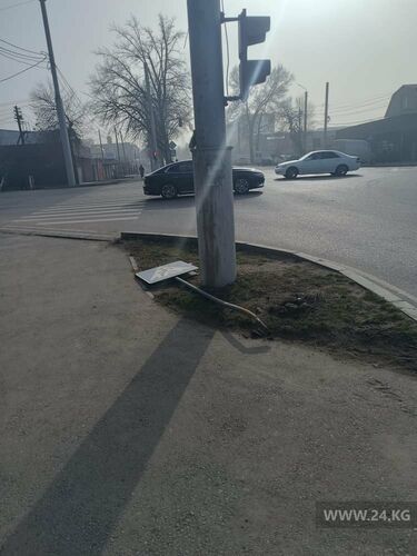 читателя 24.kg