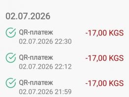 За&nbsp;час оплатила проезд четыре раза: бишкекчанка жалуется на&nbsp;систему в&nbsp;автобусах

