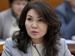 Эльвира Сурабалдиева раскритиковала порядок назначения руководства комитетов&nbsp;ЖК
