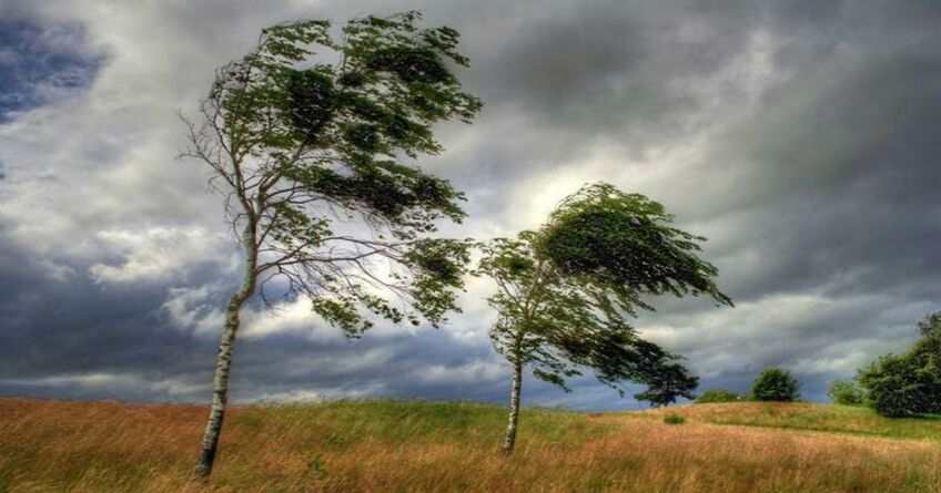 МЧС объявило штормовое предупреждение в&nbsp;Бишкеке и&nbsp;Чуйской долине. Будет ветер
