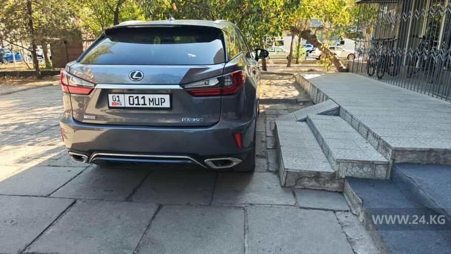 читателя 24.kg